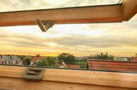 rated George Green roof window companies